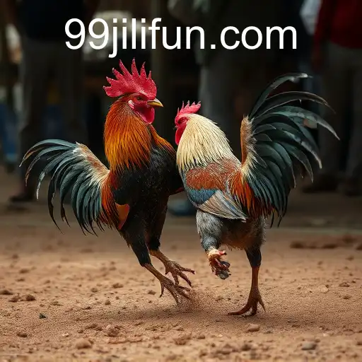 The Complex World of Cockfighting and 99JILI
